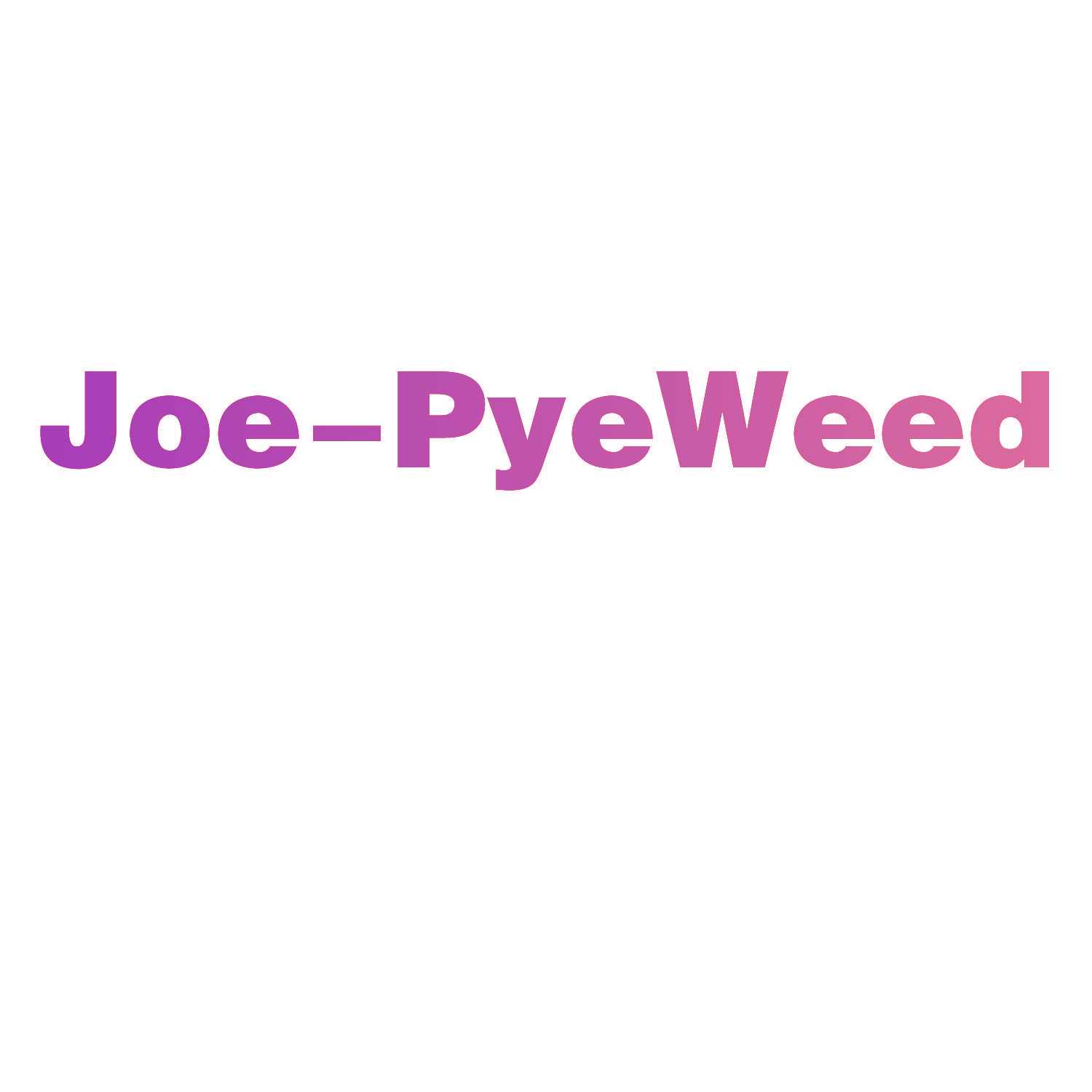 JOE-PYEWEED