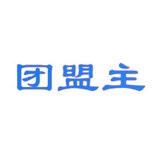 团盟主
