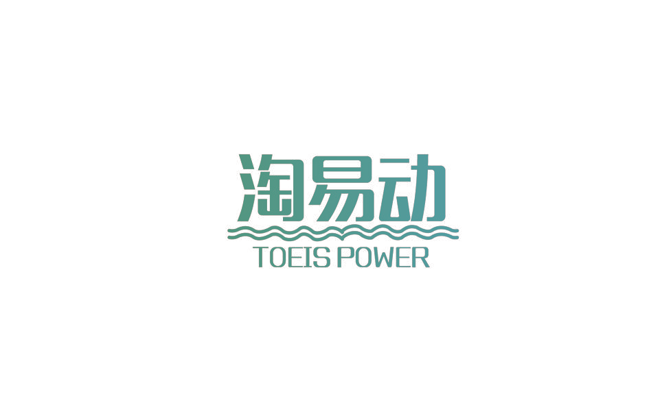 淘易动 TOEIS POWER