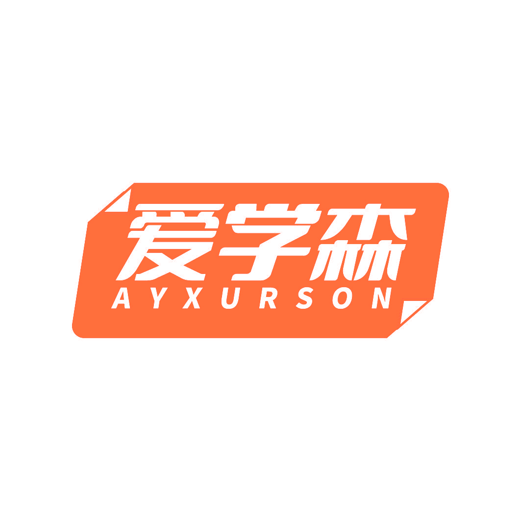 爱学森 AYXURSON