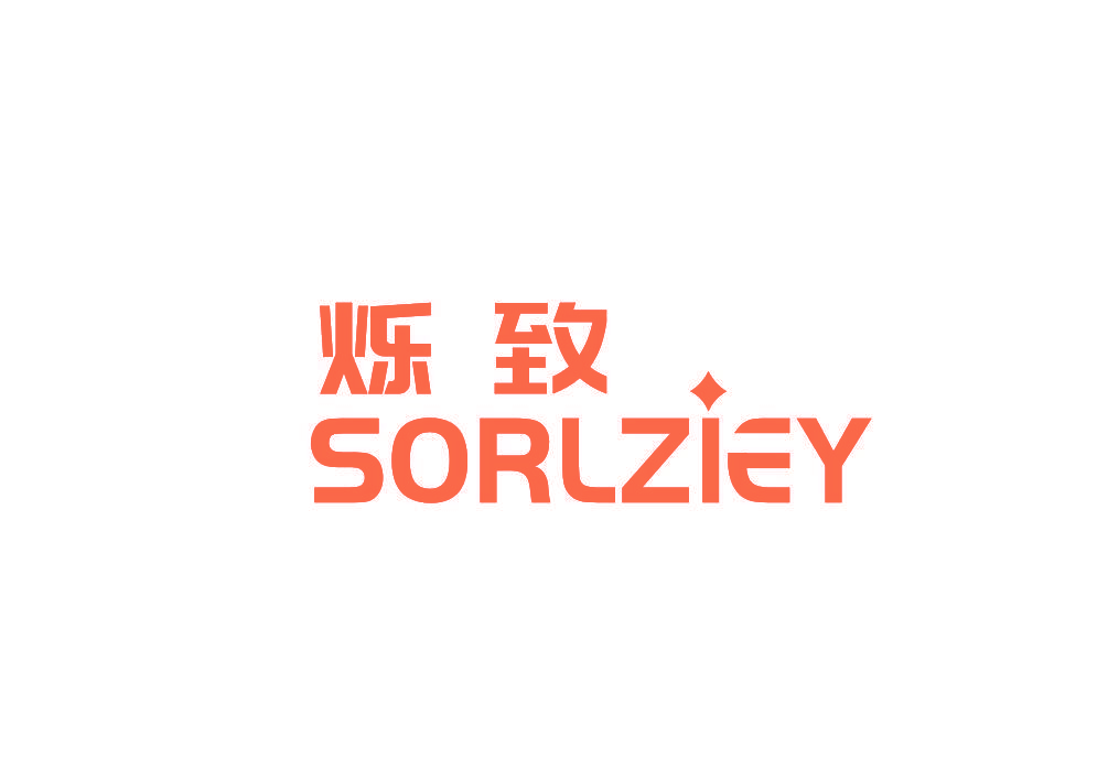烁致 SORLZIEY