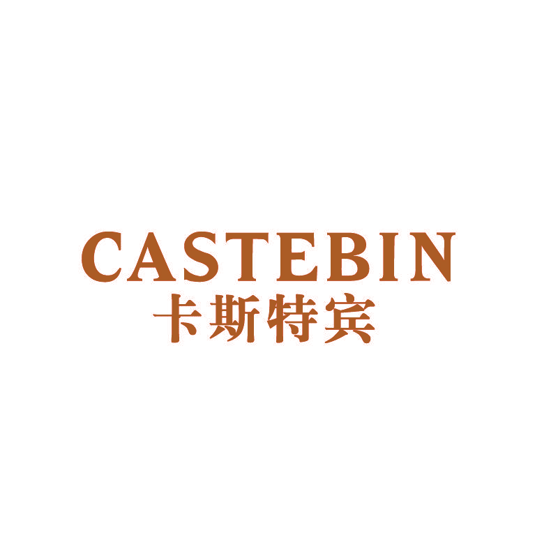 CASTEBIN 卡斯特宾