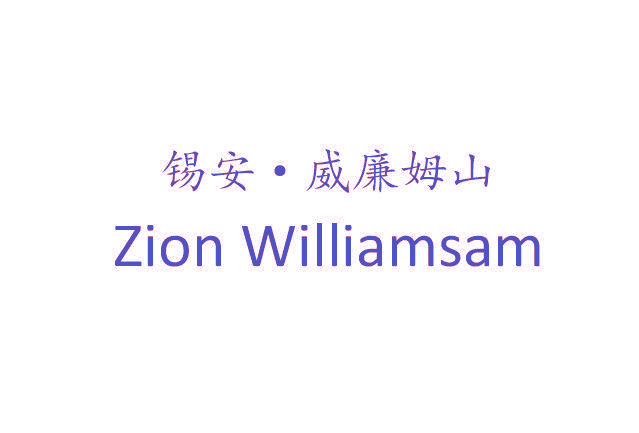 锡安·威廉姆山 ZION WILLIAMSAM
