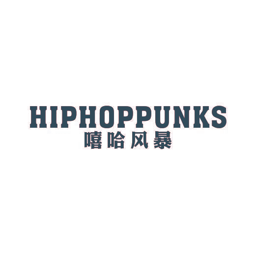 嘻哈风暴 HIPHOPPUNKS
