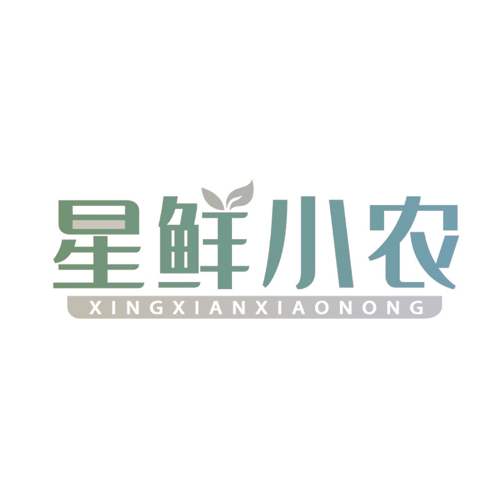 星鲜小农