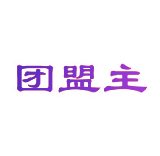 团盟主