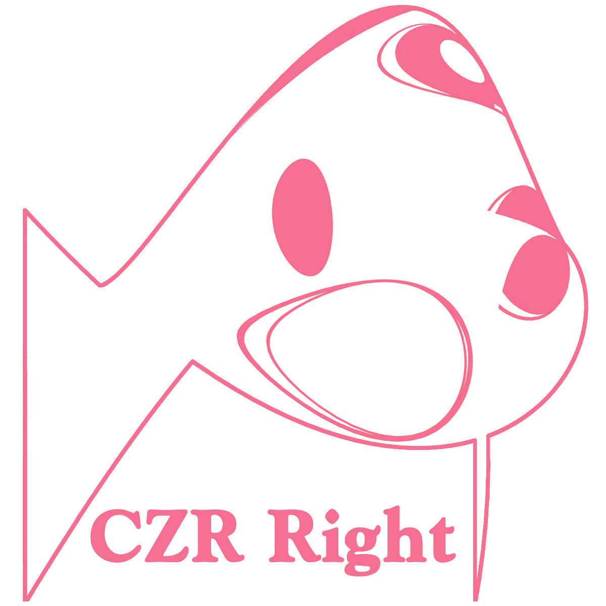 CZR RIGHT