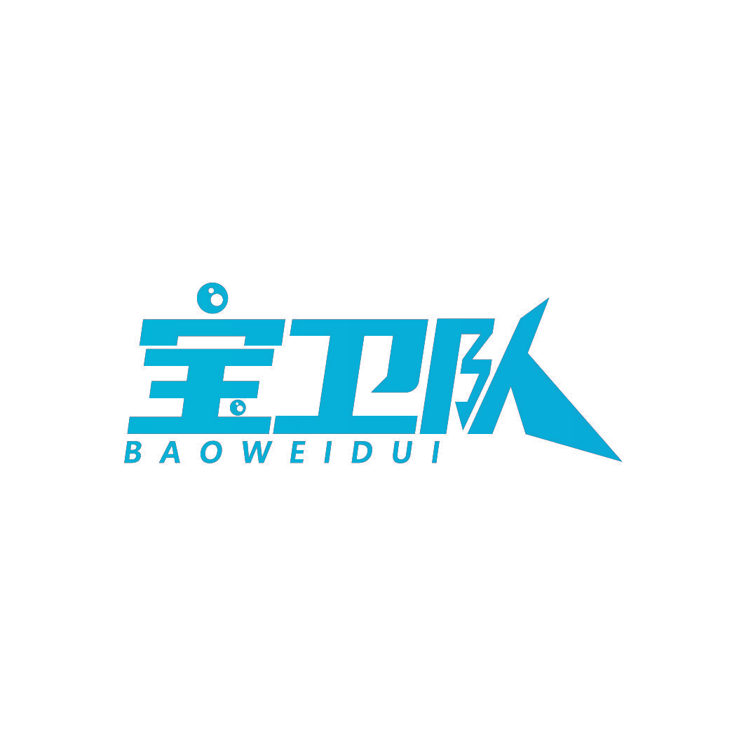 宝卫队