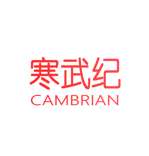 寒武纪  CAMBRIAN