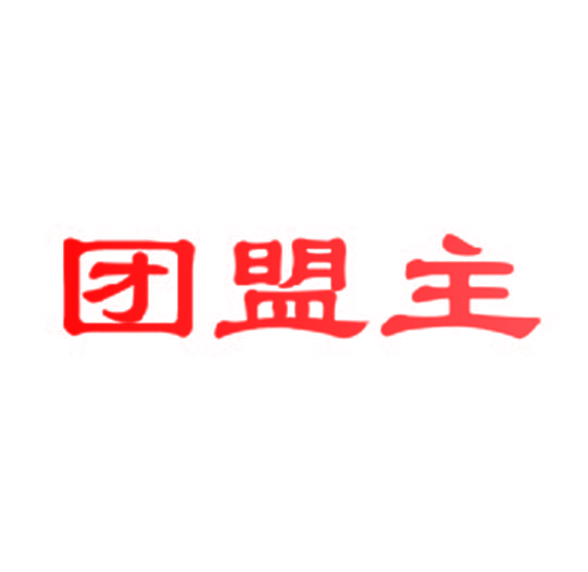 团盟主