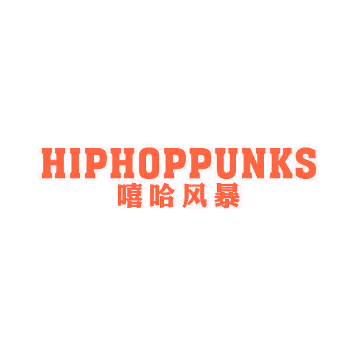 嘻哈风暴 HIPHOPPUNKS