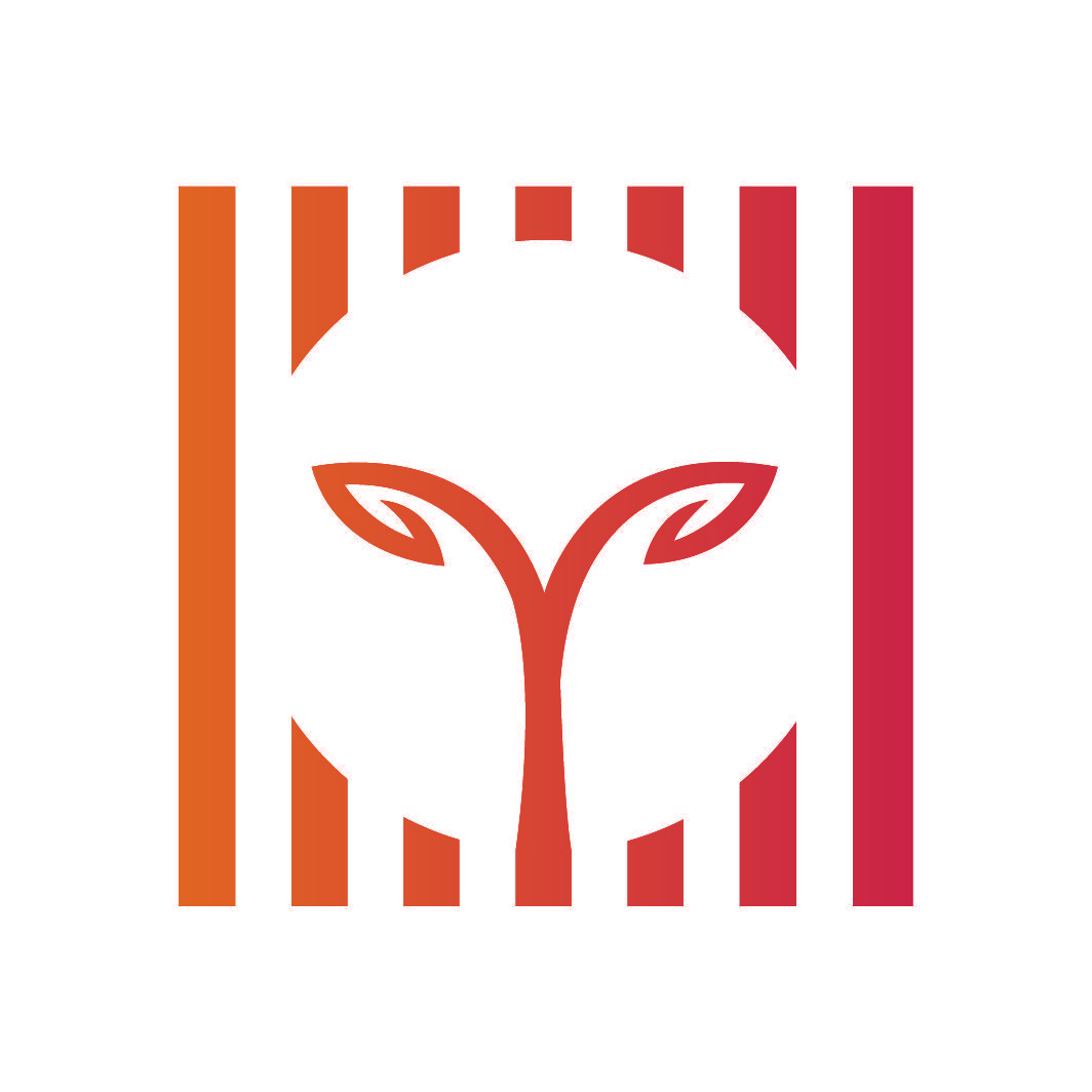 图形