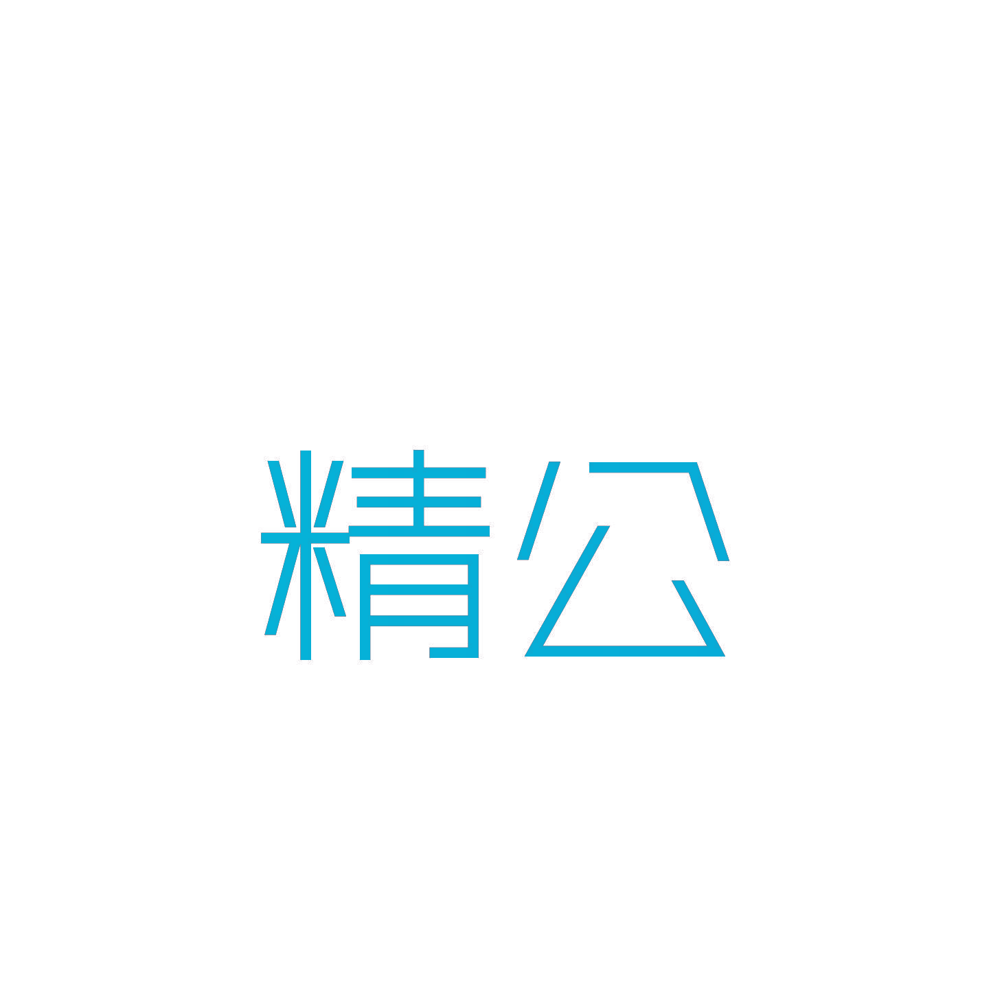 精公