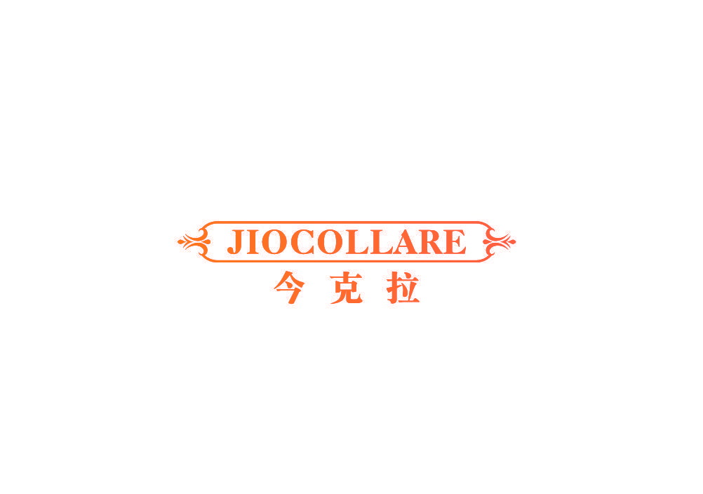JIOCOLLARE 今克拉