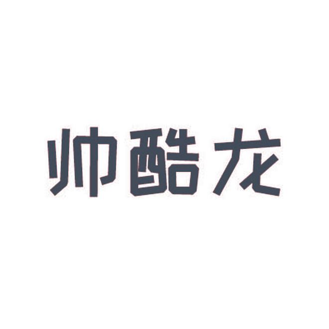 帅酷龙