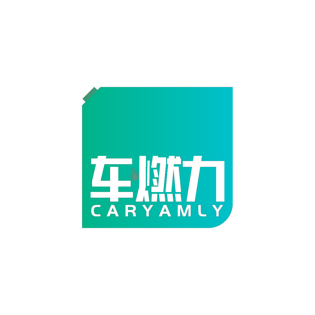车燃力  CARYAMLY