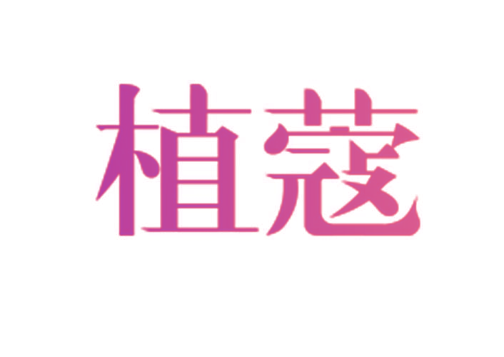 植蔻