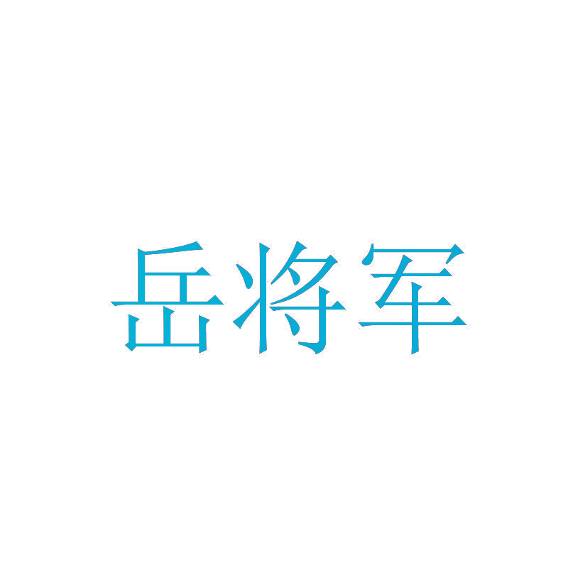 岳将军