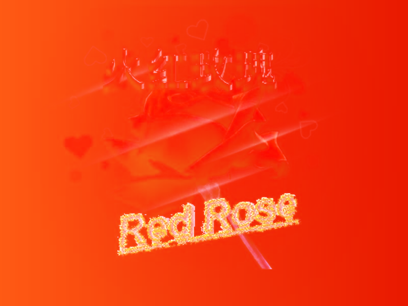 火红玫瑰 RED ROSE