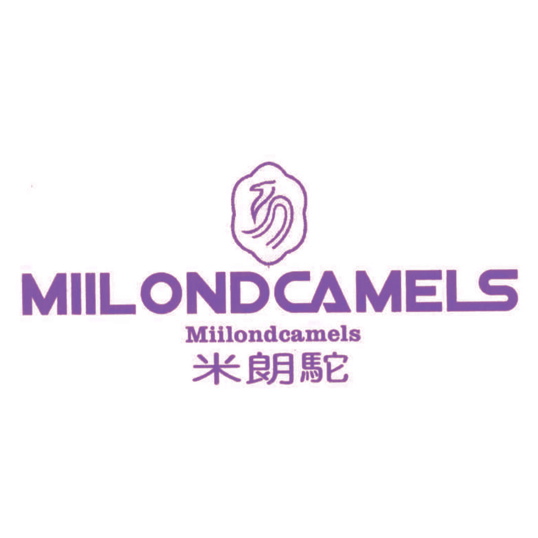 米朗驼 MIILONDCAMELS