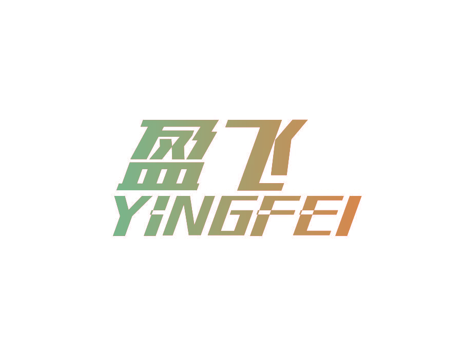 盈飞