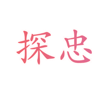 探忠