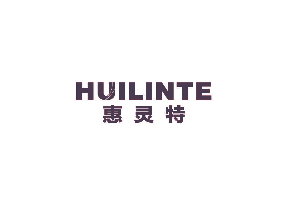 惠灵特 HUILINTE