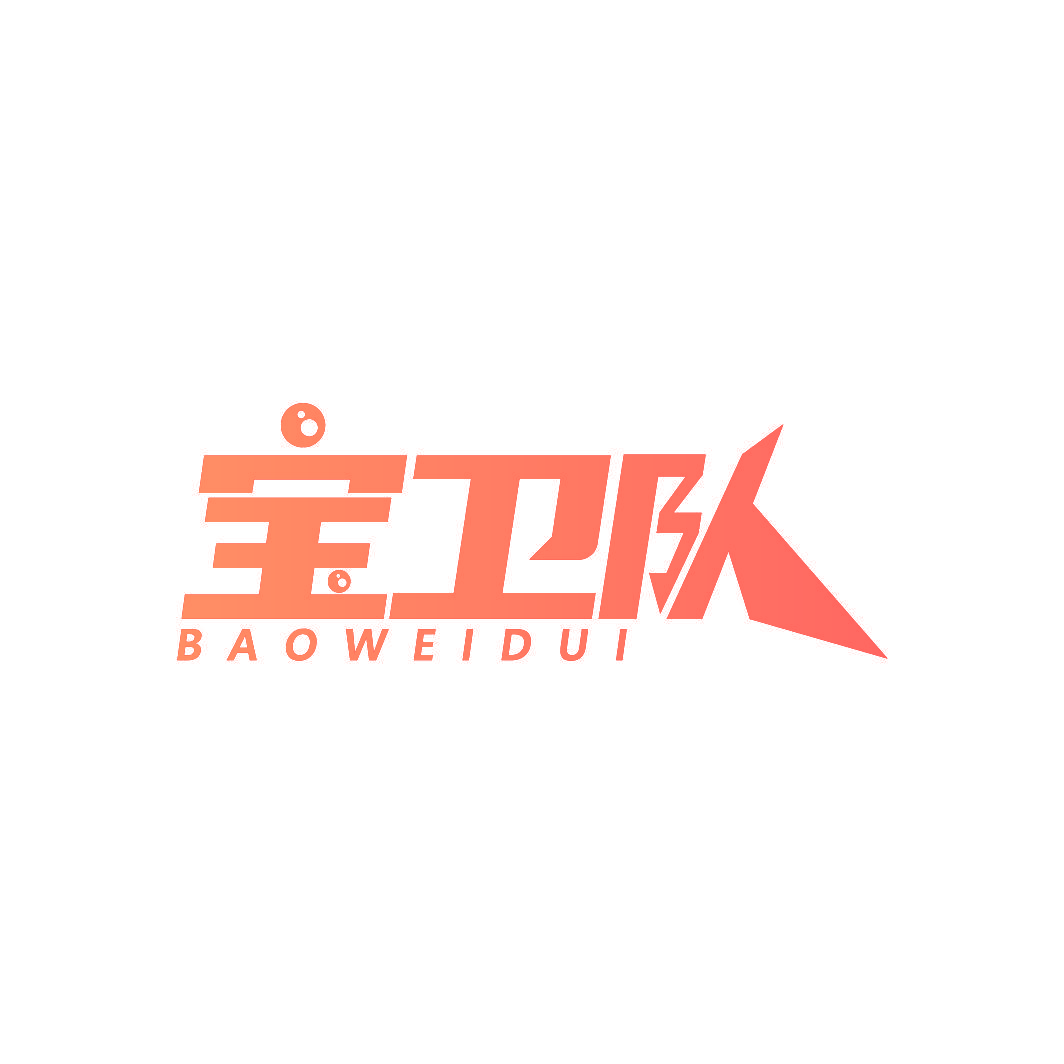 宝卫队