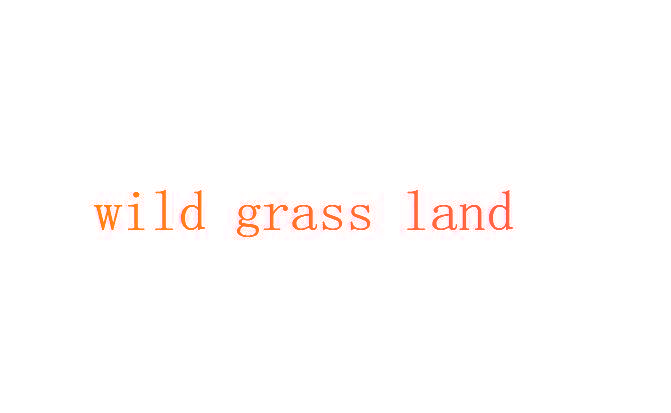 WILD GRASS LAND