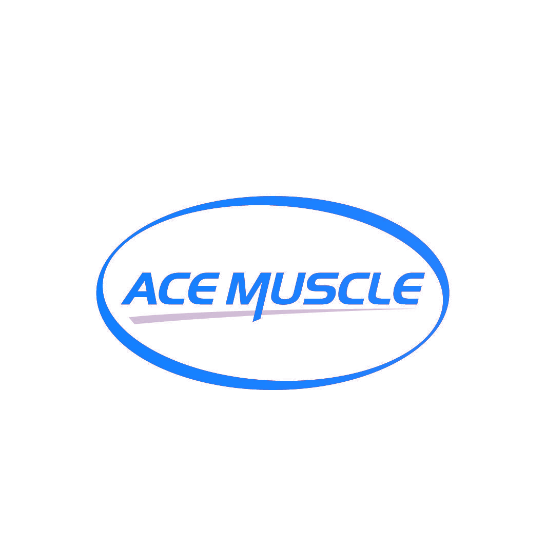 ACE MUSCLE