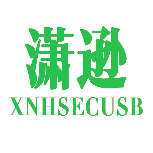 潇逊 XNHSECUSB