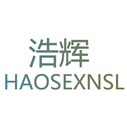 浩辉 HAOSEXNSL
