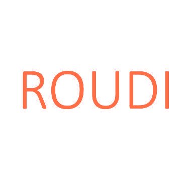 ROUDI