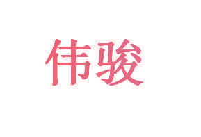 伟骏