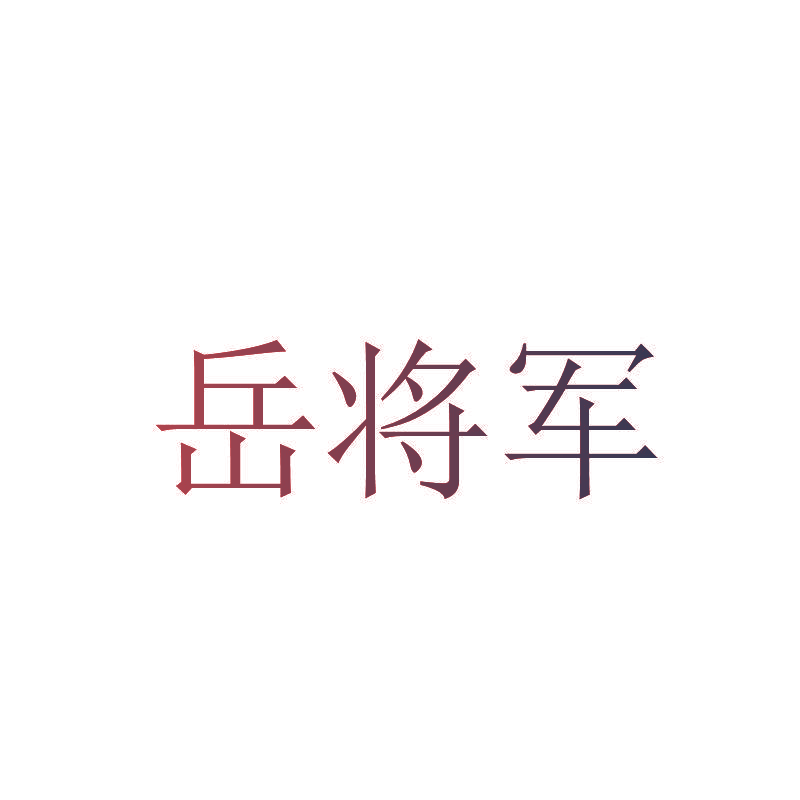岳将军