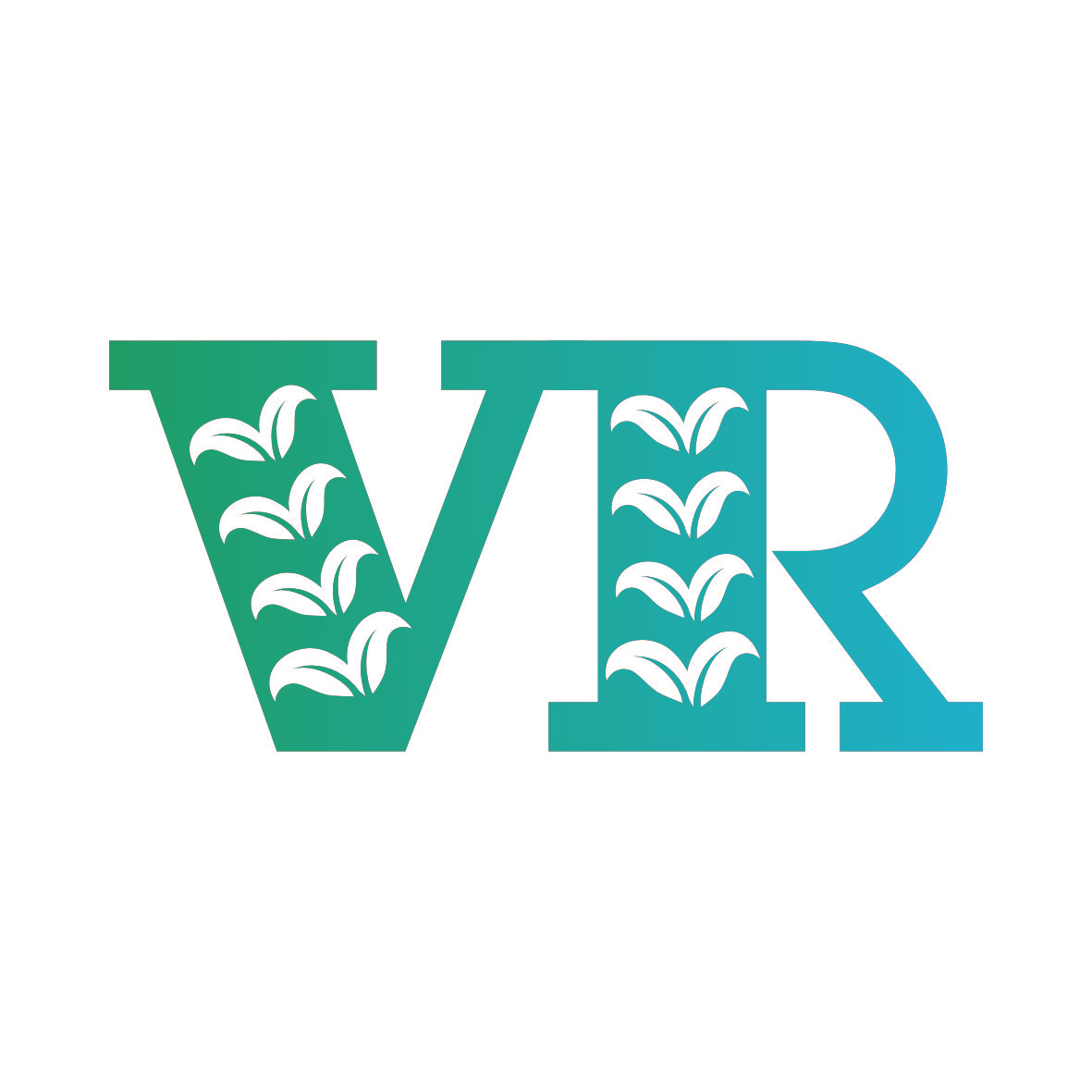 VR