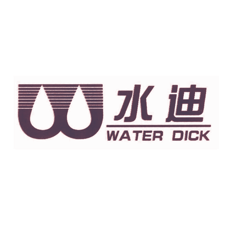 水迪 WATER DICK