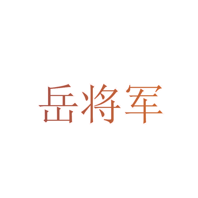 岳将军