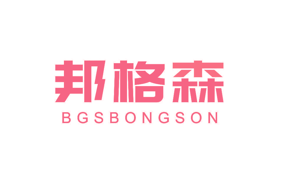 邦格森 BGSBONGSON