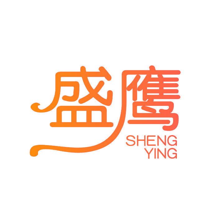 盛鹰,SHENGYING