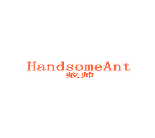 蚁帅 HANDSOMEANT