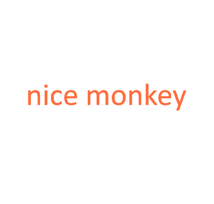 NICE MONKEY