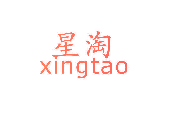 星淘XINGTAO