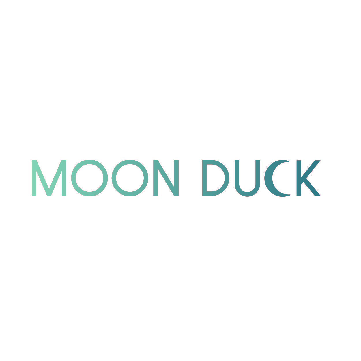 MOON DUCK