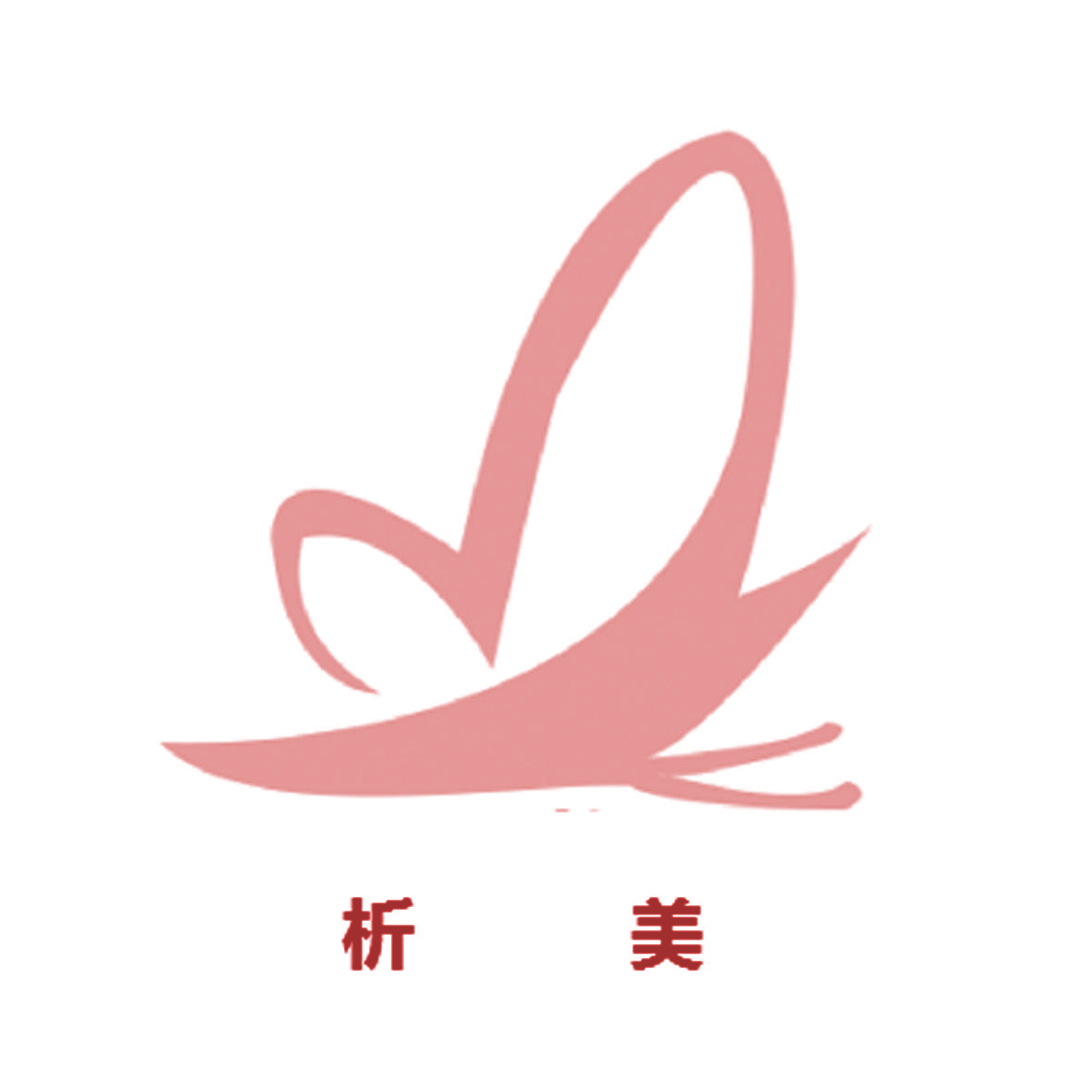 析美