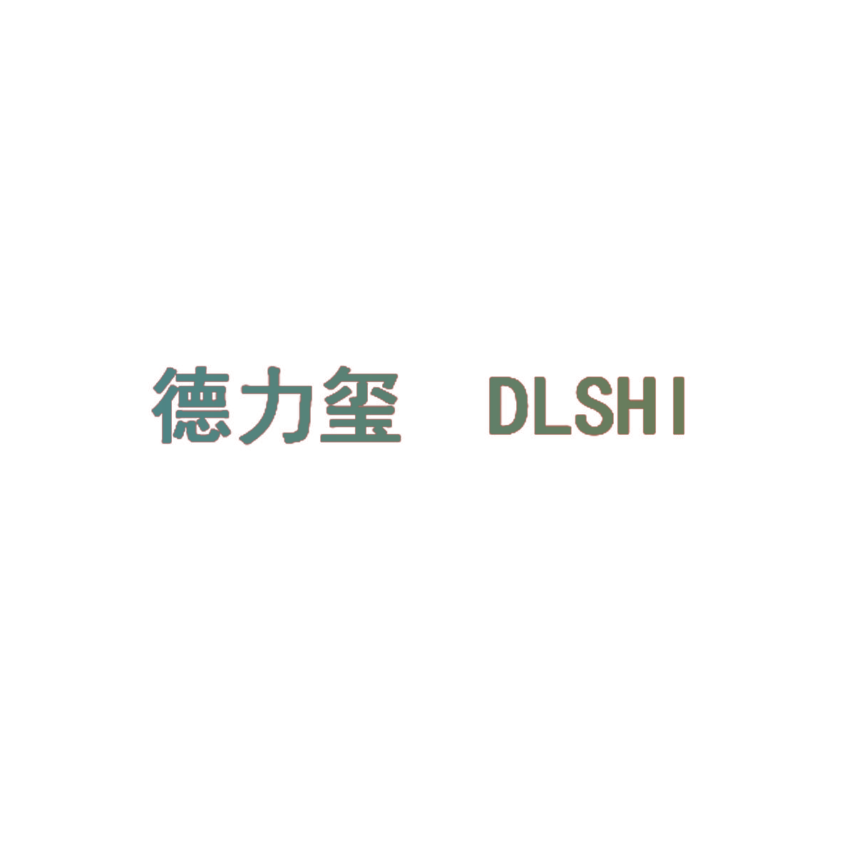 德力玺 DLSHI