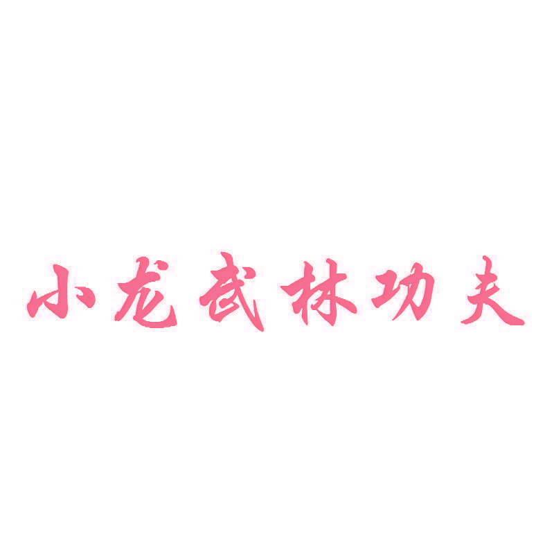 小龙武林功夫