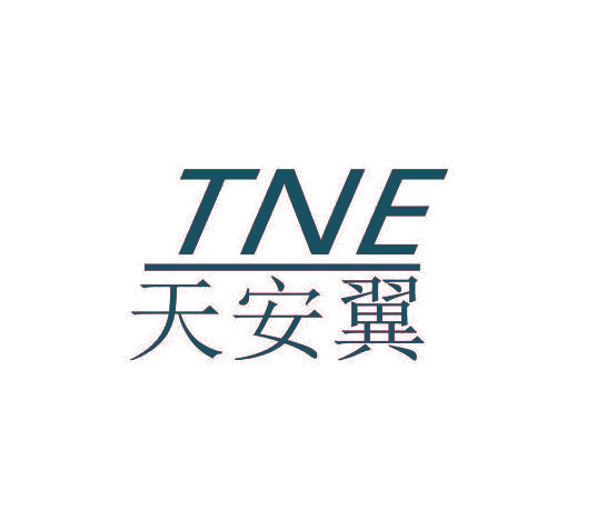 天安翼 TNE