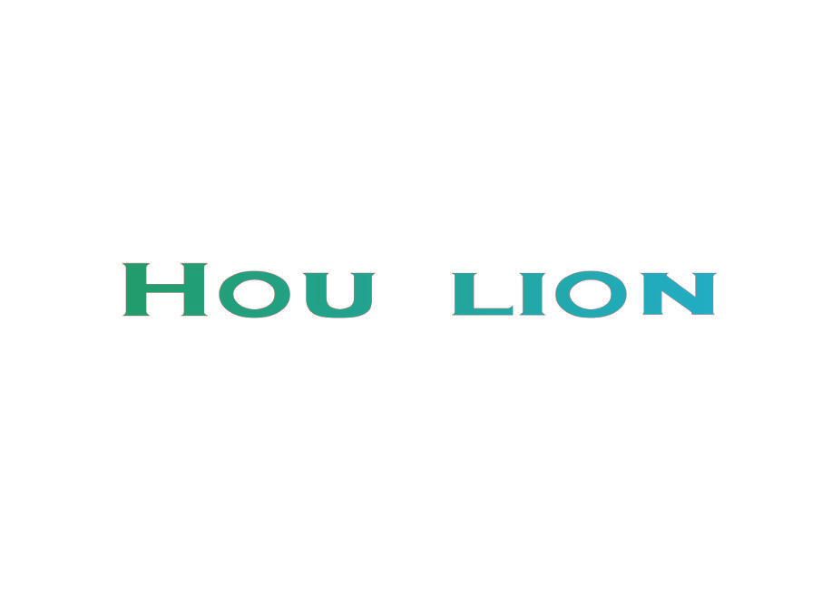 HOU LION
