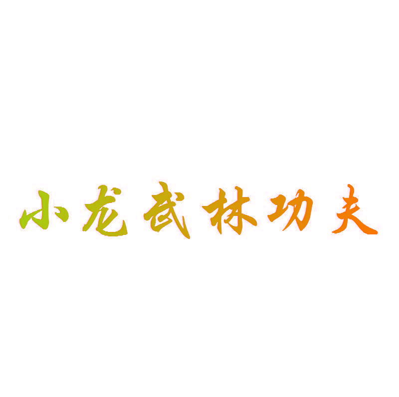 小龙武林功夫